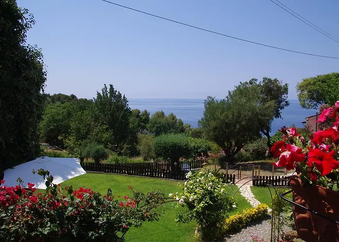 Bed And Breakfast Nefer